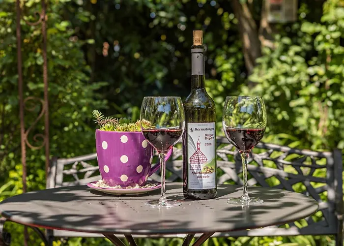 Appartement Haus Sonnenschein Gartentraum *